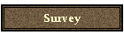 Survey